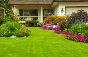 5 Lawn Caring Tips to Improve Your Property Value