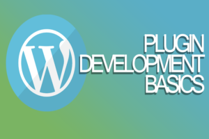 Accessibe WordPress Plugin