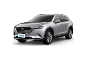 rental car